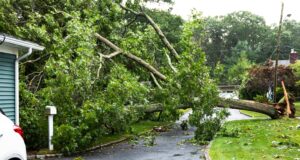 Storm damage, large tree falls on home