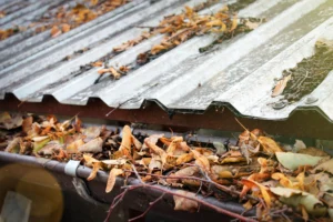 clogged gutter with leaves and debris on roof causing water drainage issues